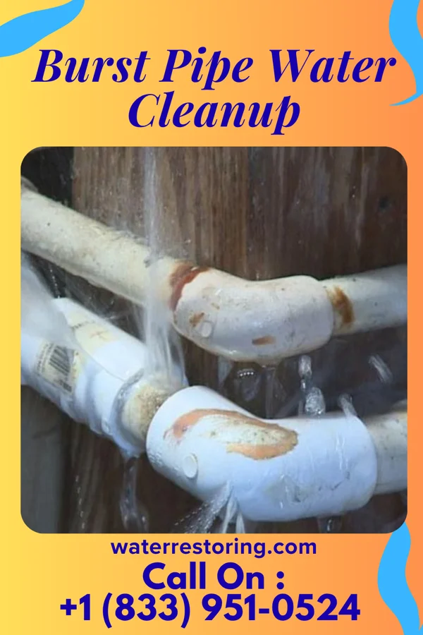 Burst Pipe Water Cleanup in Monaville, WV