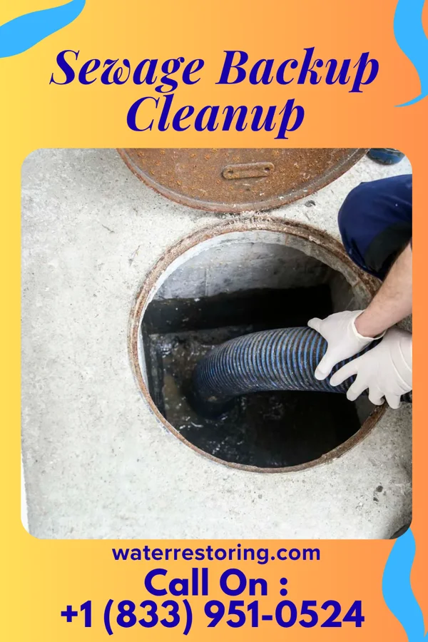 Sewage Backup Cleanup in Monaville, WV