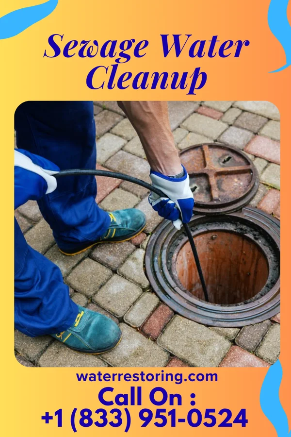 Sewage Water Cleanup in Monaville, WV