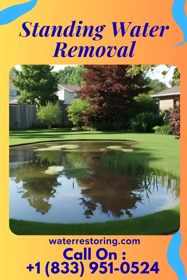 Standing Water Removal in Monaville, WV